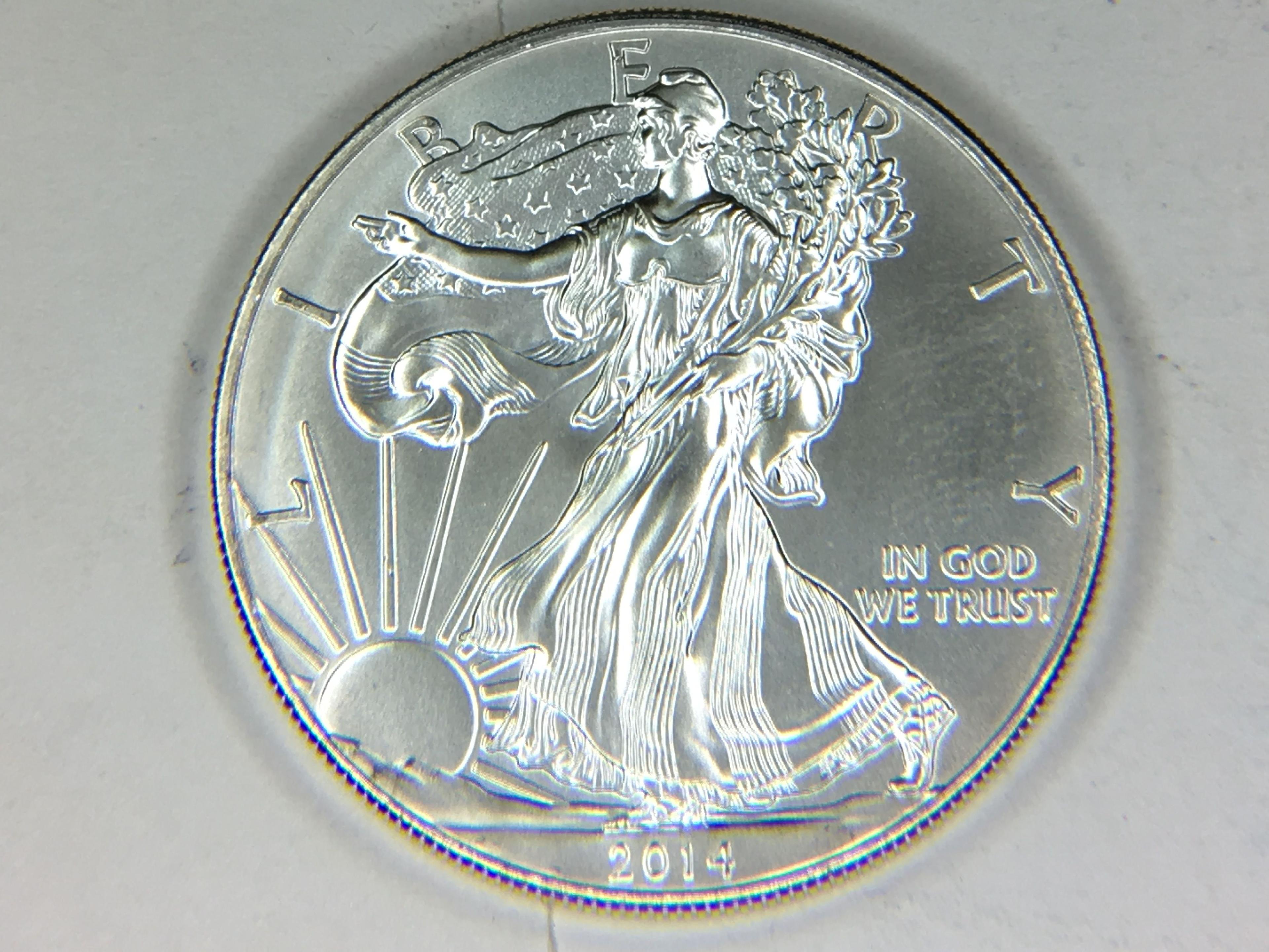 2014 Silver Eagle