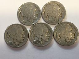 (5) Buffalo Nickels