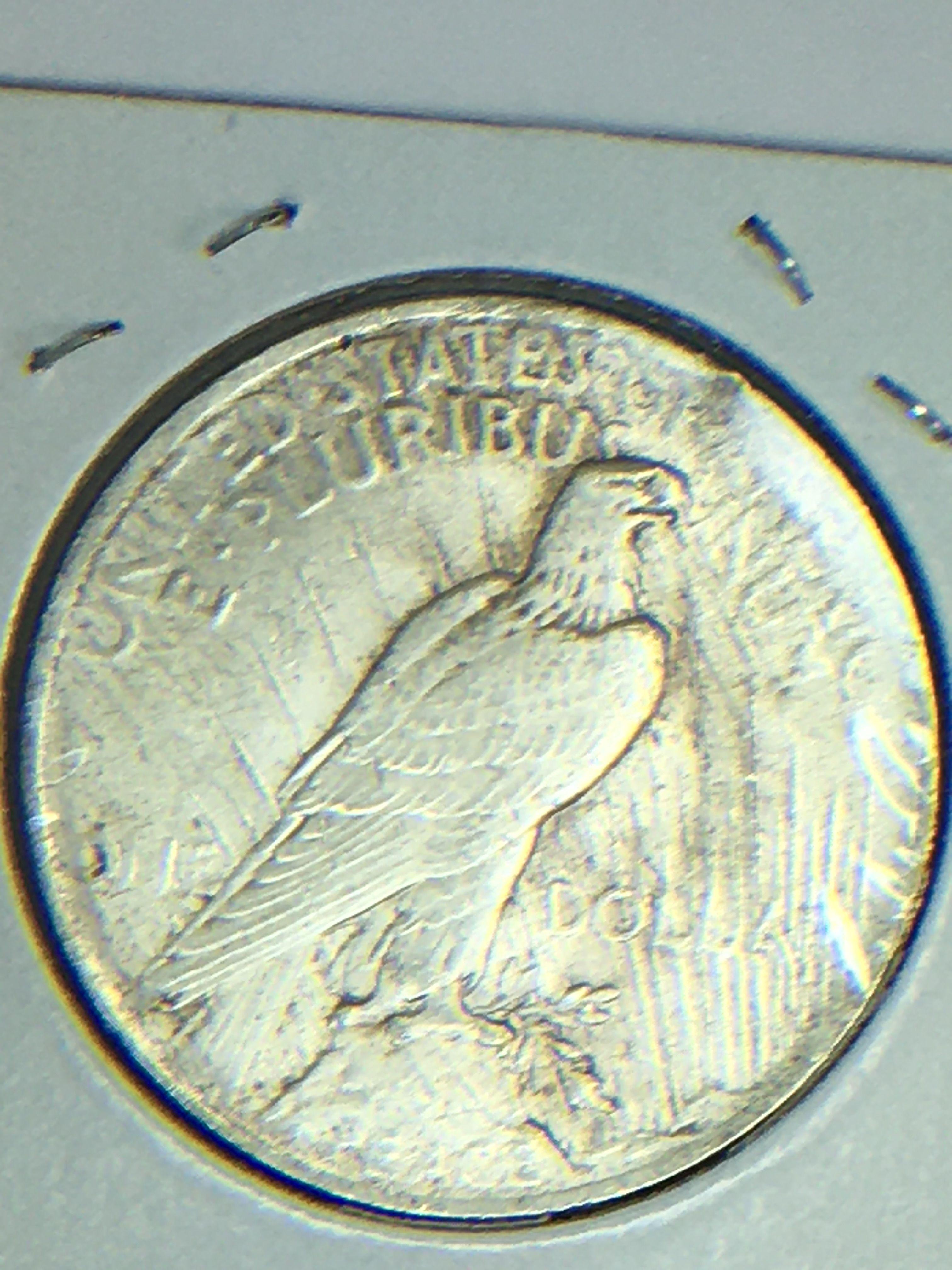 1922 P Peace Dollar