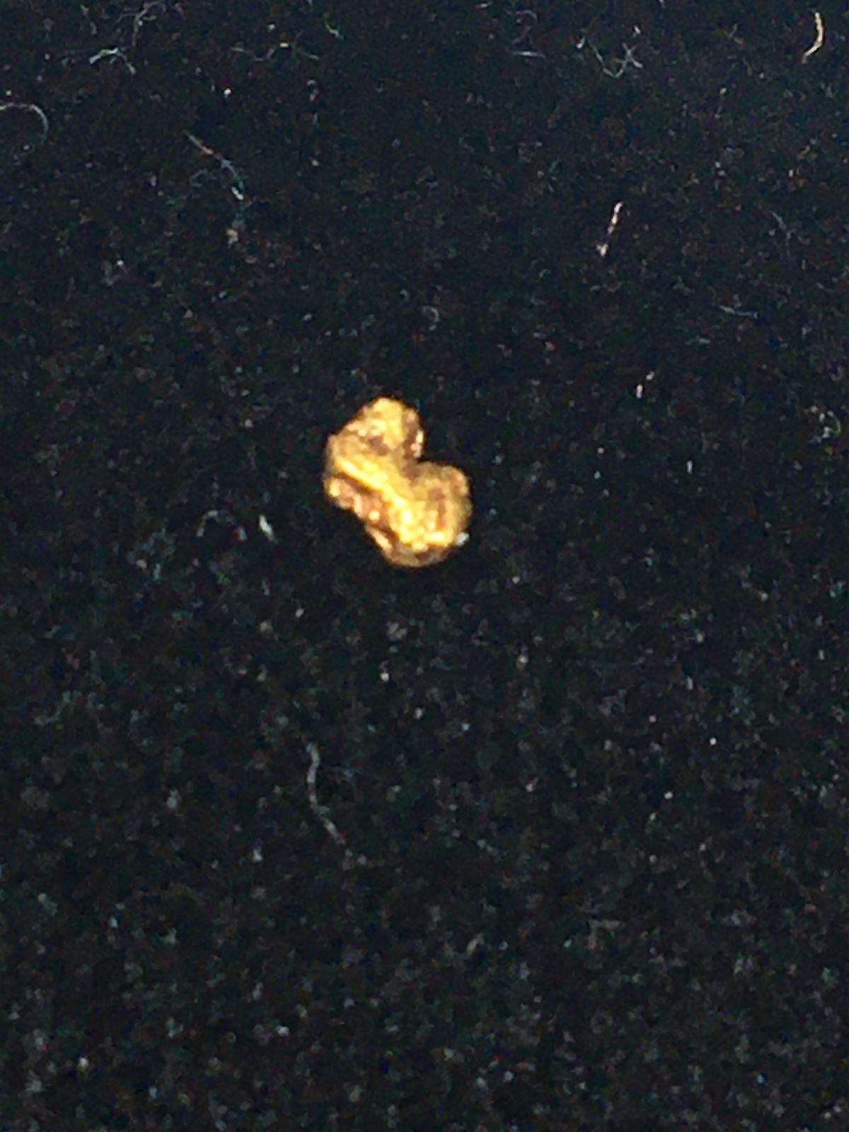 Gold Nugget Alaskan Yellow Top End .080 Grams 20 Kt+