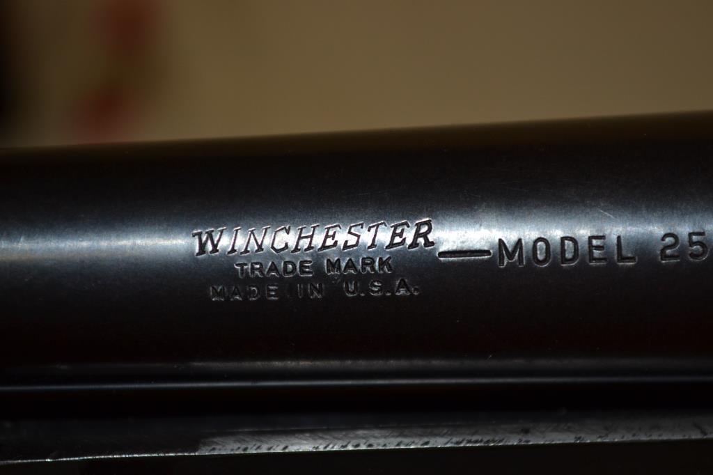 Gun. Winchester Model 25 12ga shotgun