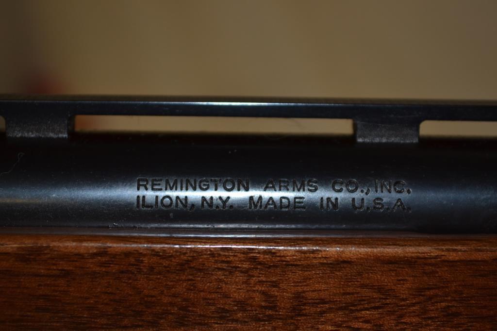 Gun. Remington Model 1100 12 ga Shotgun