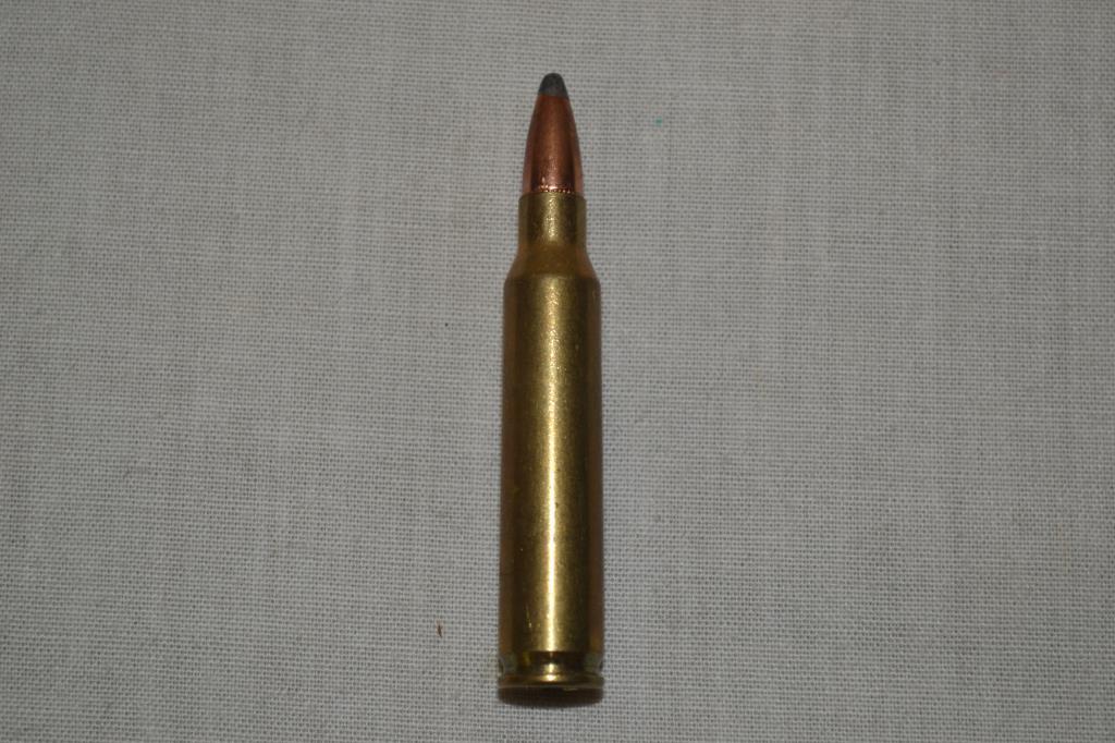 Ammo. PMC 5.56 mm Ball M193. 100 Rds