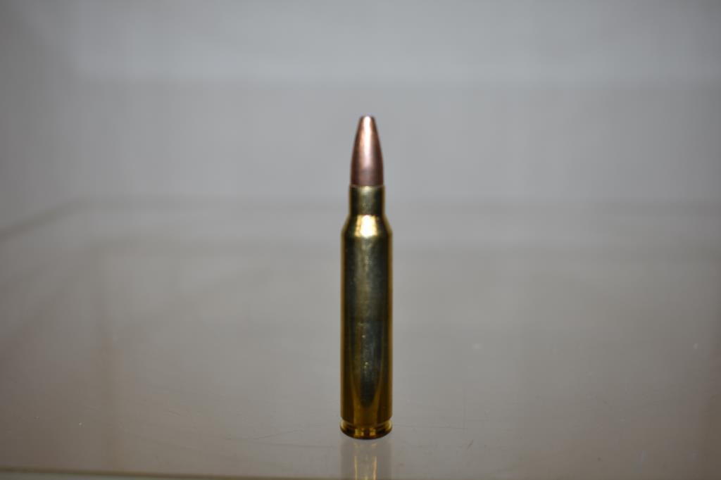 Ammo. Hornady 223 REM. 120 Rds