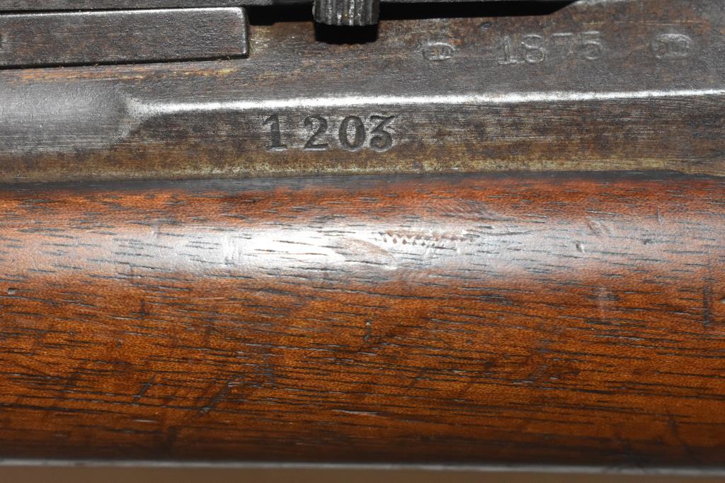 Gun. Dutch Beaumont Vittali 1875 11mm cal Rifle