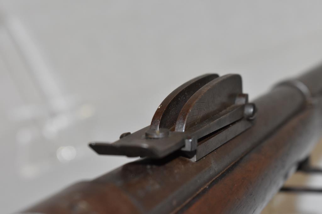 Gun. Dutch Beaumont Vittali 1875 11mm cal Rifle