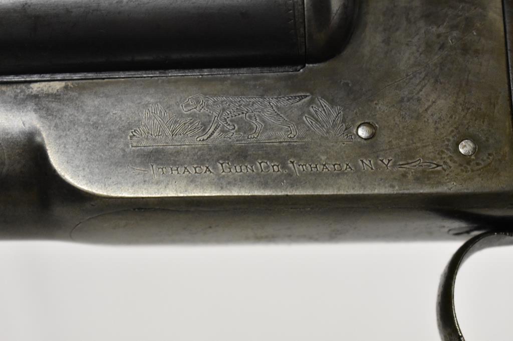 Gun. Ithaca Model Flues 12 ga Shotgun