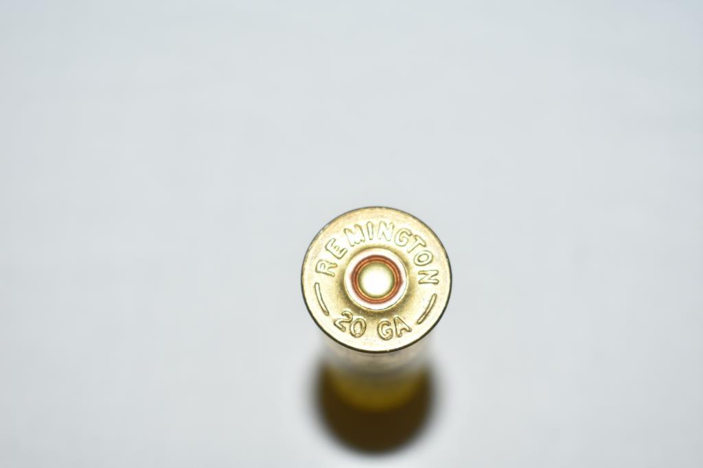 Ammo. Hornady & Remington 20 ga Slugs, 125 Rds.