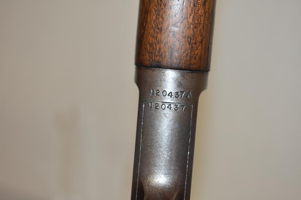 Gun. Winchester Model 63 22 cal Rifle