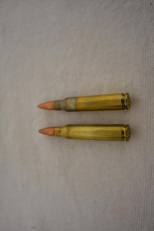 Ammo. Remington & PMC 223. 120 Rds.