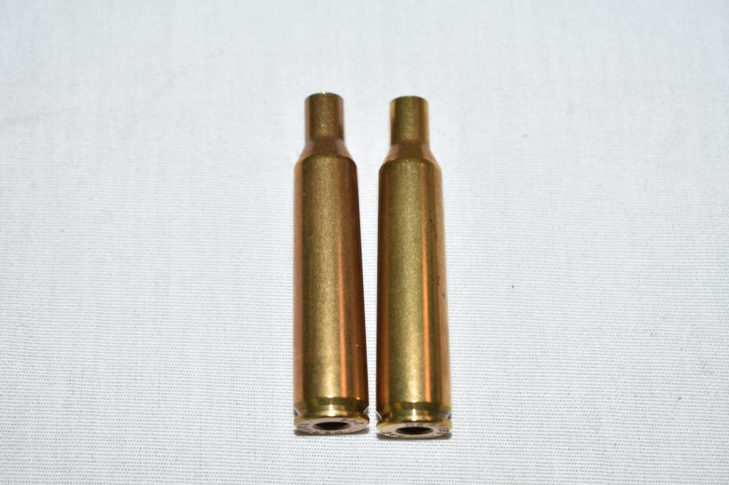 Brass. 244 cal, 99 Rds, Deprimed