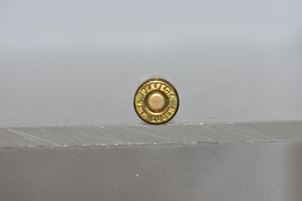 Ammo. 9mm Luger. 250 Rds