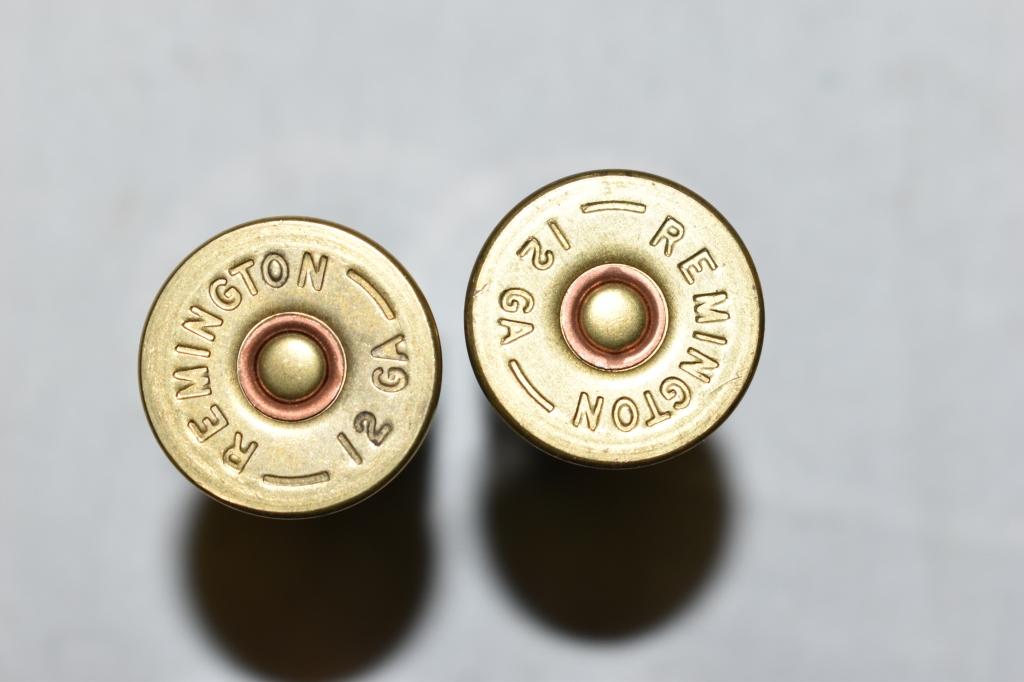 Ammo. 12 GA Slugs. 19 Rds.