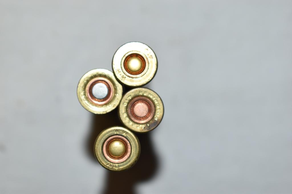 Ammo. .410 GA. 99 Rds.