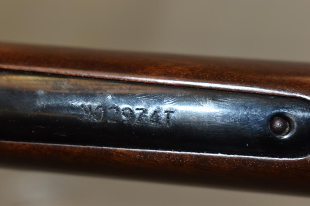 Gun.  Henry 22 mag cal Rifle