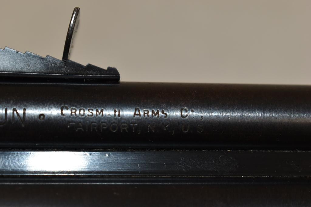 Pellet Gun. Crosman Model 180  22 cal Rifle