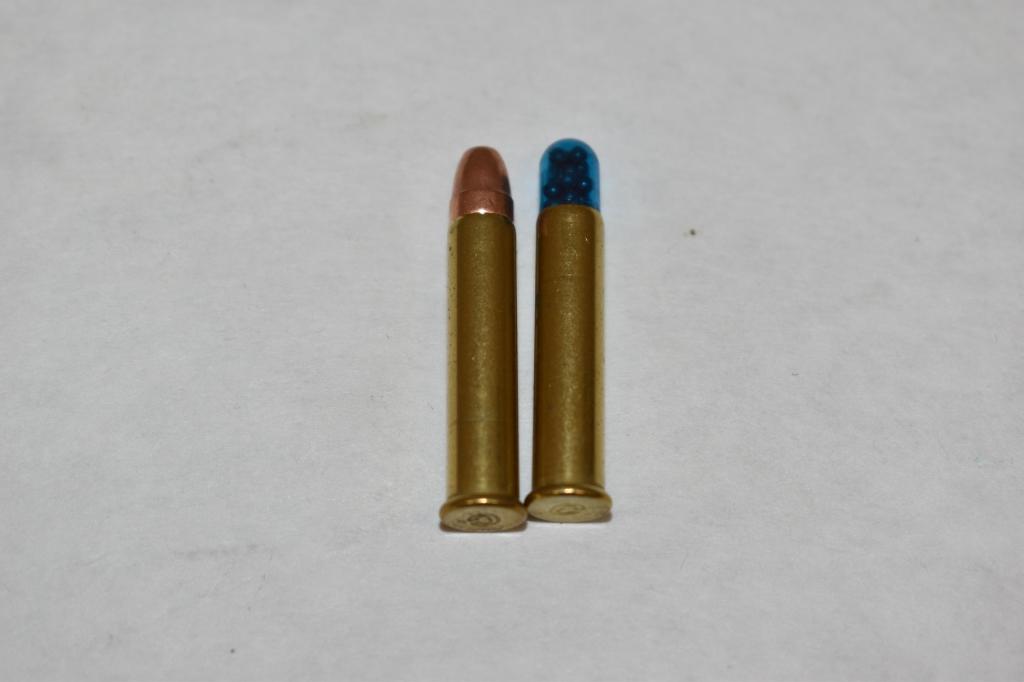 Ammo. 22 WMR. 260 Rds.