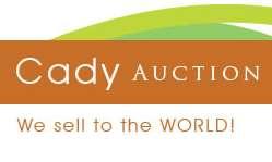 Cady Auction Gallery & Appraisal