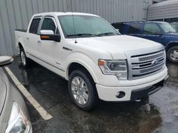 2013 FORD F150 PLATINUM