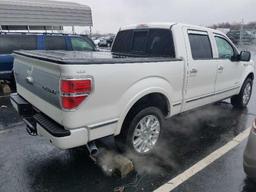 2013 FORD F150 PLATINUM