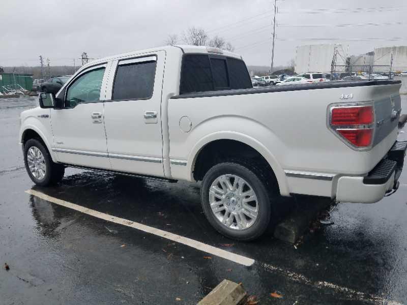 2013 FORD F150 PLATINUM