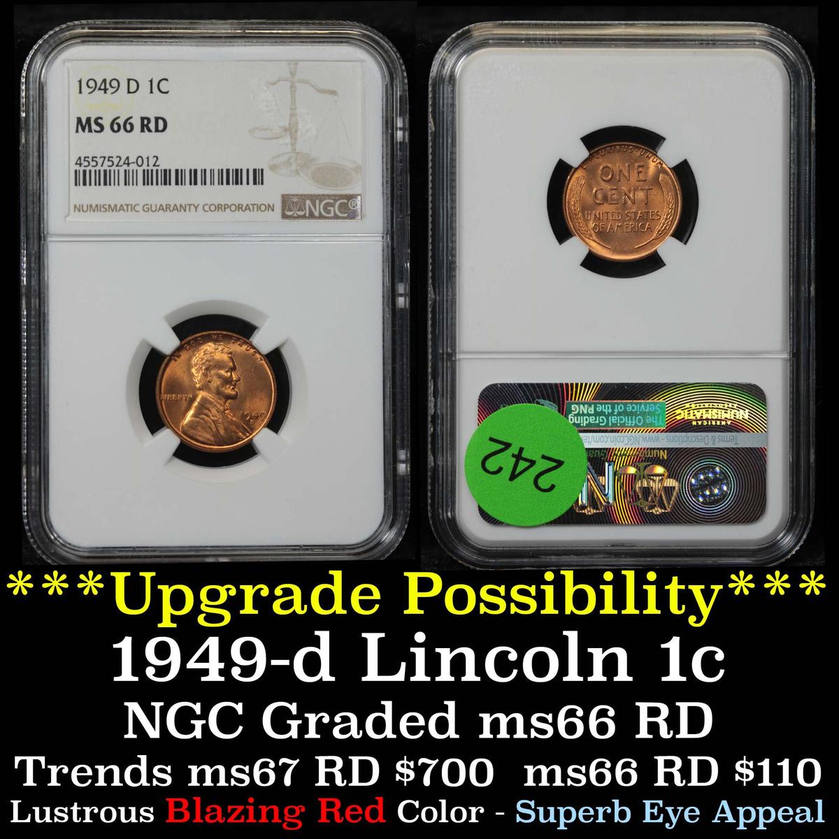 NGC 1949-d Lincoln Cent 1c Graded ms66 rd By NGC