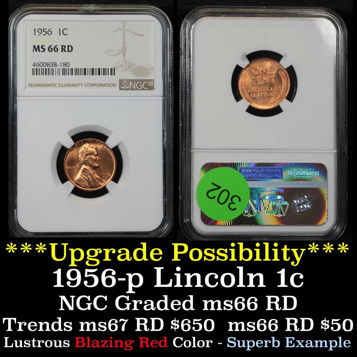 NGC 1956-p Lincoln Cent 1c Graded ms66 rd By NGC