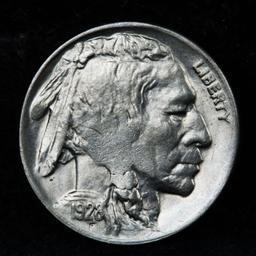 1928-d Buffalo Nickel 5c Grades Choice Unc