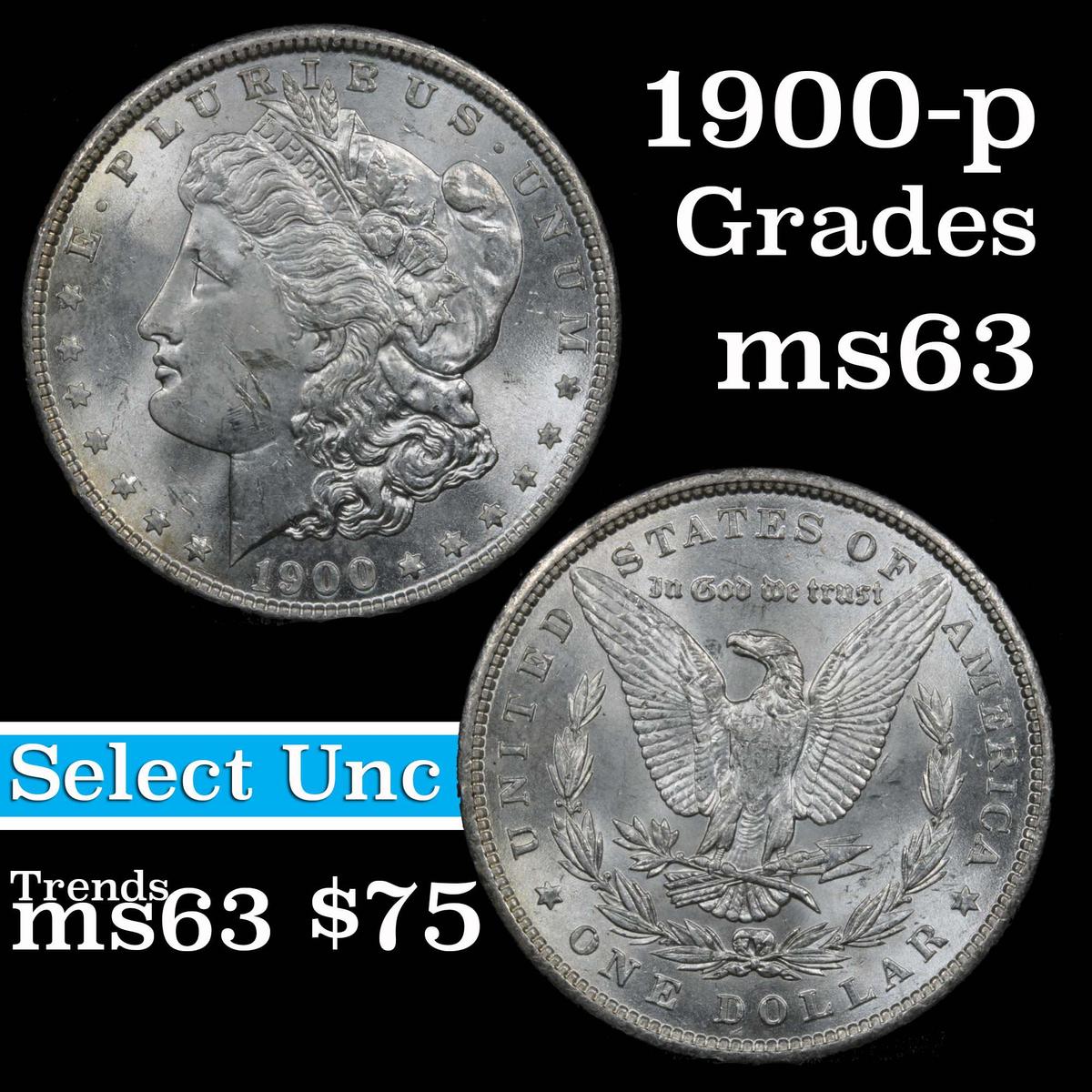 1900-p Morgan Dollar $1 Grades Select Unc