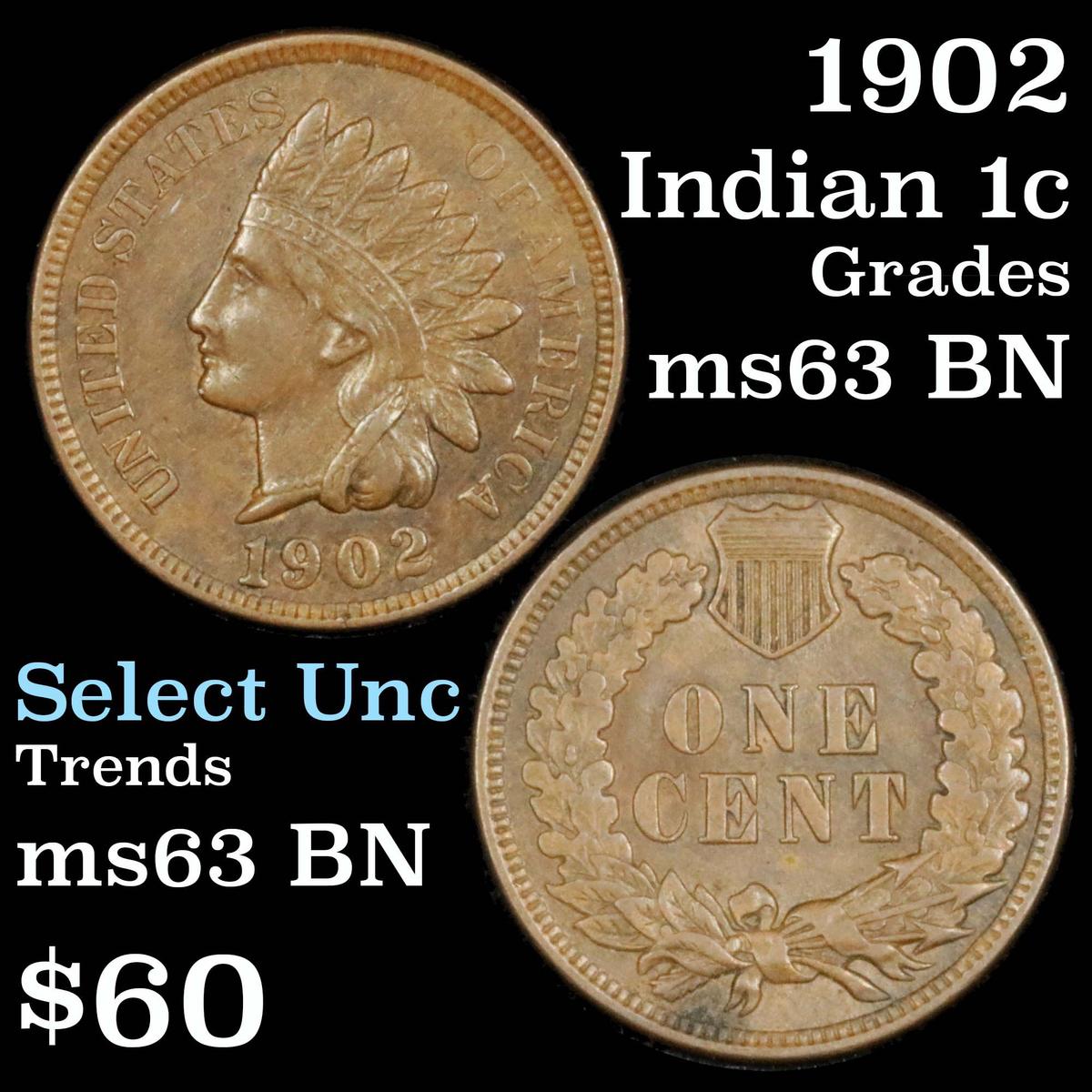 1902 Indian Cent 1c Grades Select Unc BN