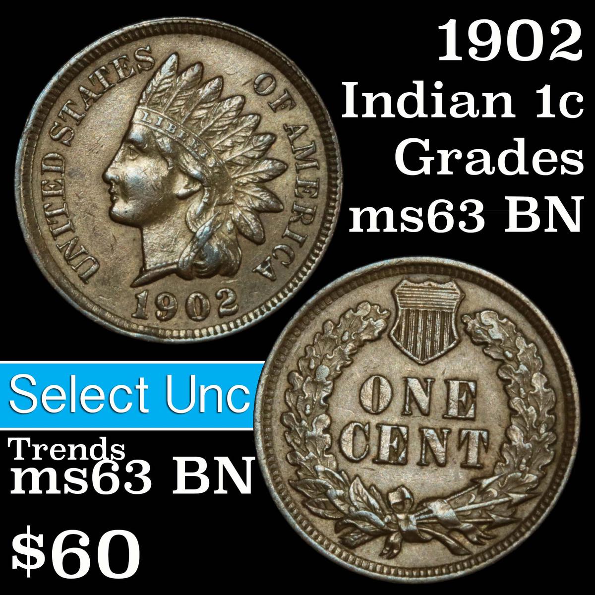 1902 Indian Cent 1c Grades Select Unc BN