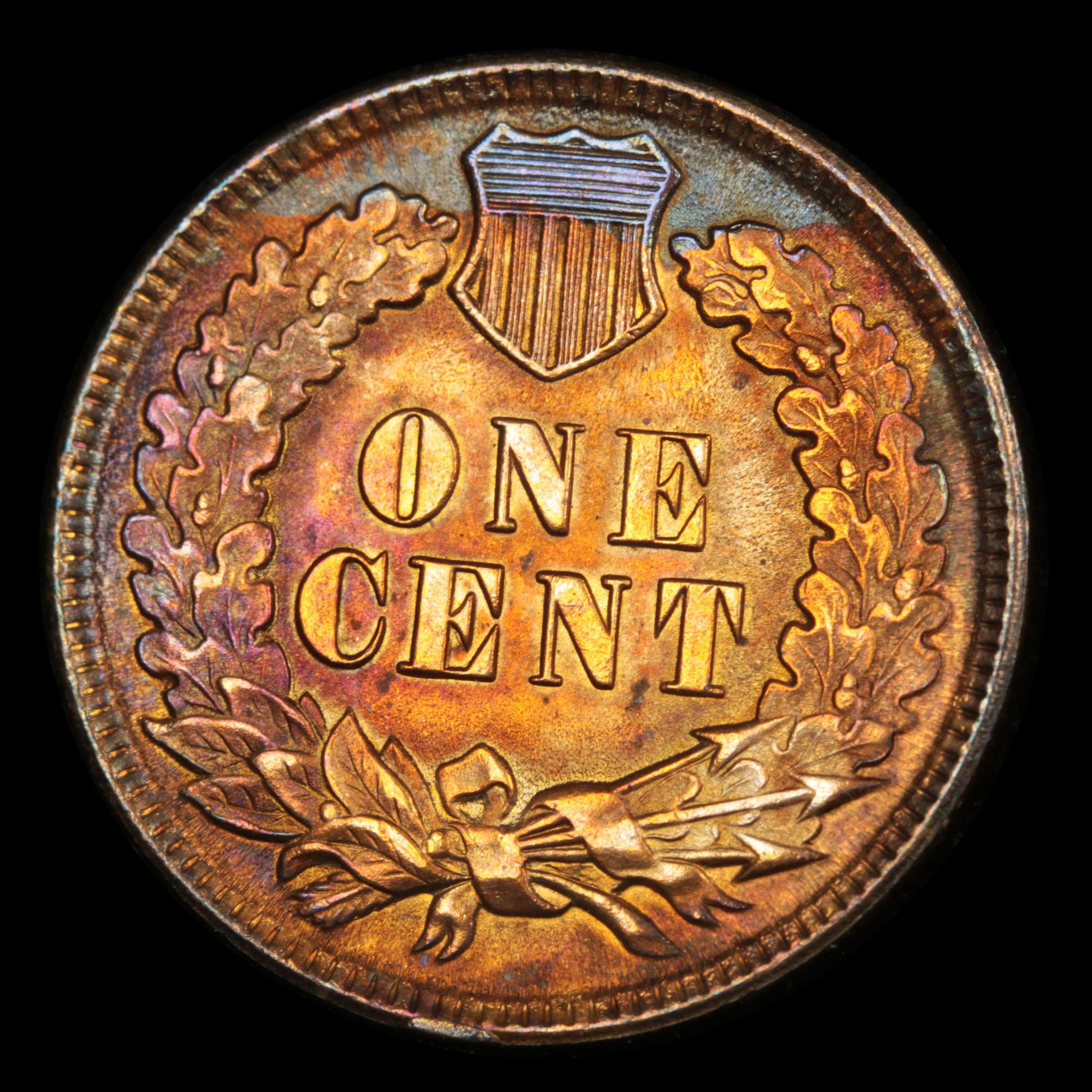 1895 Indian Cent 1c Grades Choice Unc RB (fc)