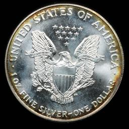 1994 Painted Silver Authentic US Eagle 1 oz .999 Silver