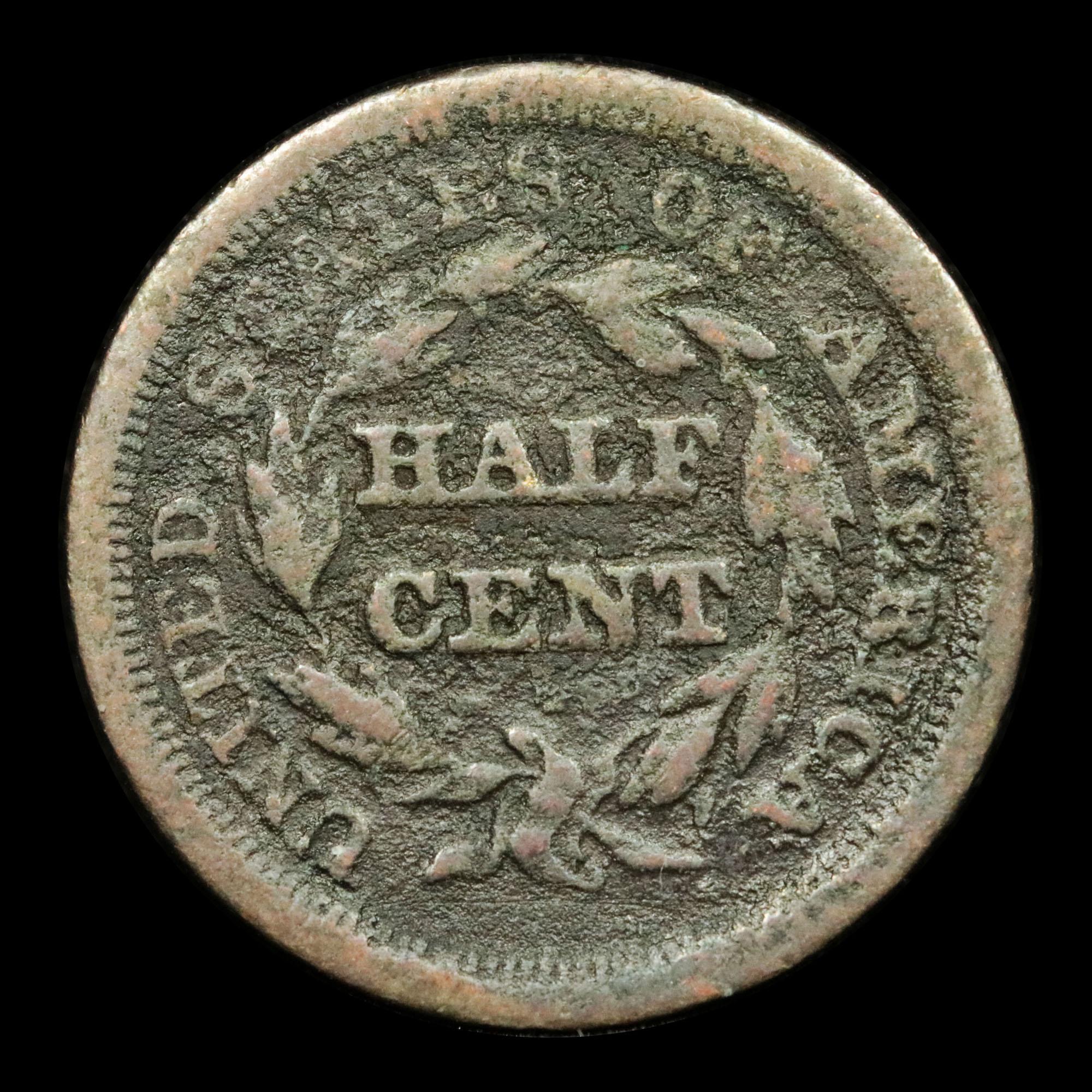 1853 Braided Hair Half Cent 1/2c Grades vf details