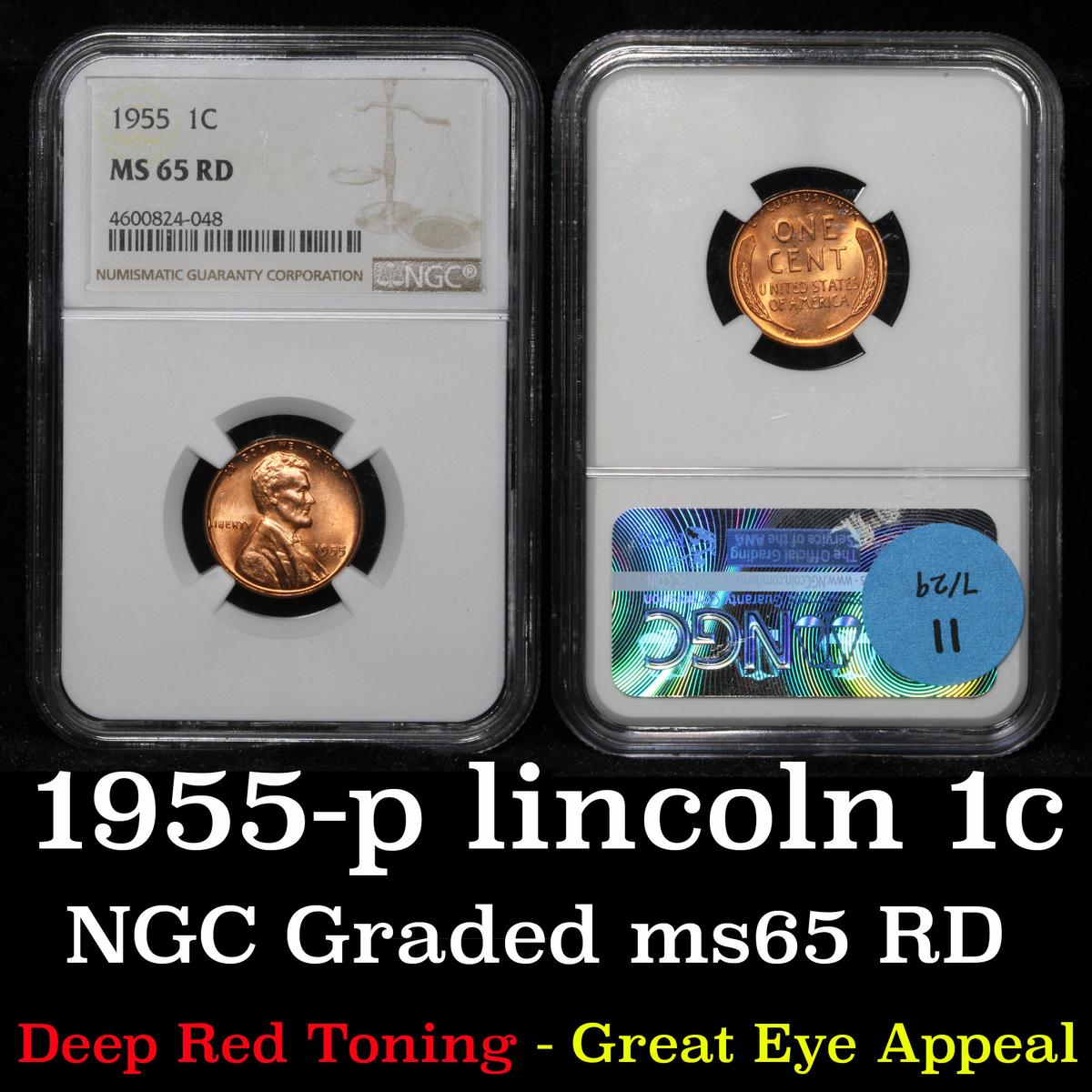 NGC 1955-p Lincoln Cent 1c Graded ms65 RD by NGC