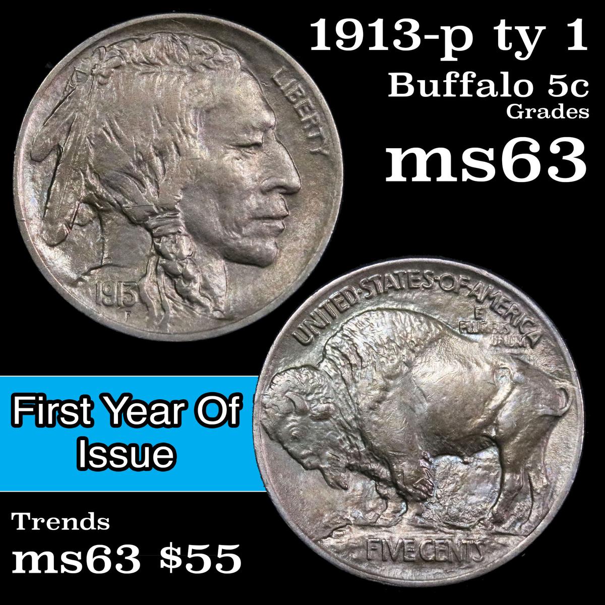 1913-p ty1 Buffalo Nickel 5c Grades Select Unc