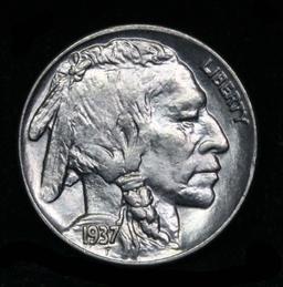 1937-p Buffalo Nickel 5c Grades GEM+ Unc