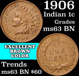 1906 Indian Cent 1c Grades Select Unc BN