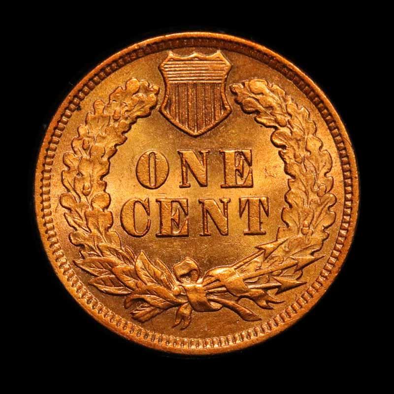 1899 Indian Cent 1c Grades Choice Unc RD (fc)