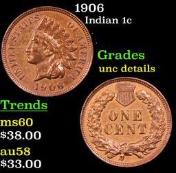 1906 Indian Cent 1c Grades Unc Details