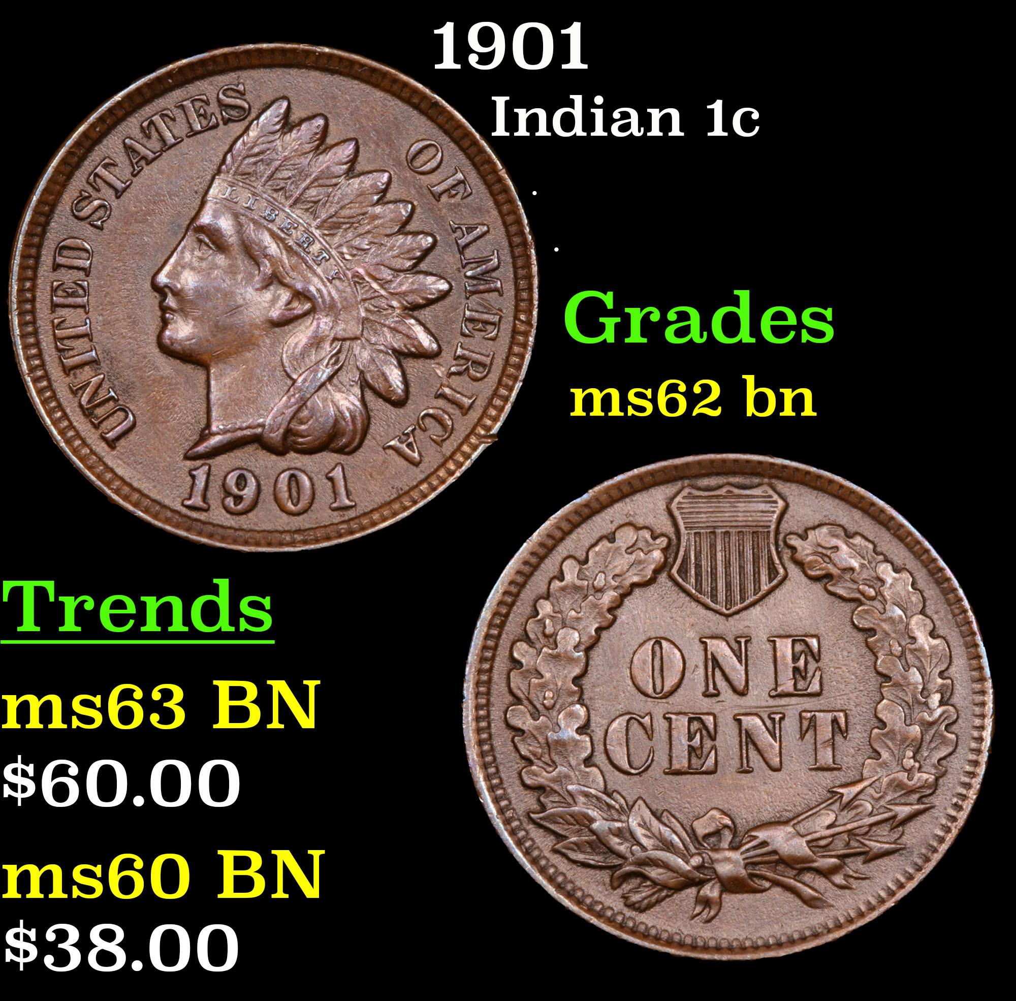 1901 Indian Cent 1c Grades Select Unc BN