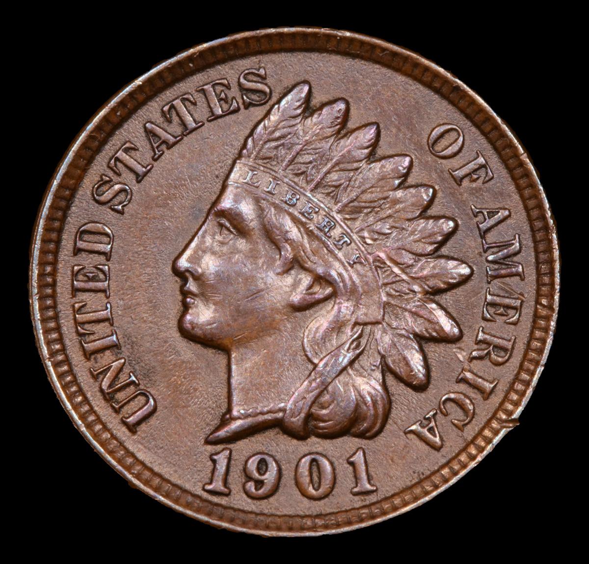 1901 Indian Cent 1c Grades Select Unc BN