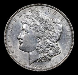 1902-p Morgan Dollar $1 Grades Select Unc