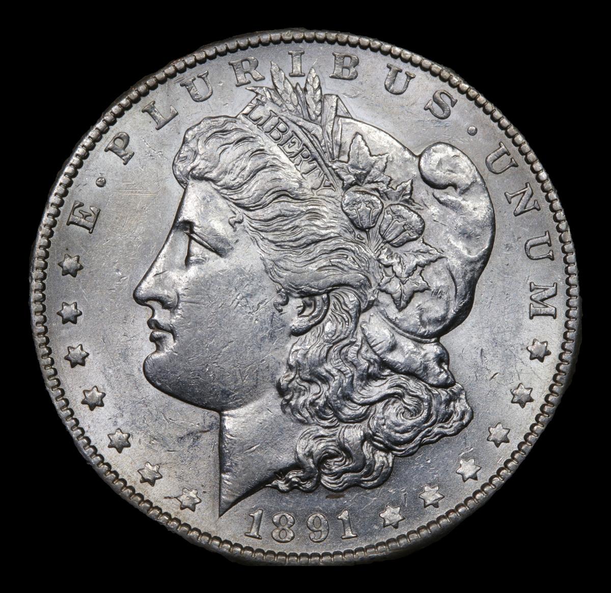 1891-s Morgan Dollar $1 Grades Select Unc