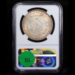 NGC 1889-p Morgan Dollar $1 Graded ms63+ By NGC