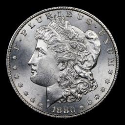 1880-s Morgan Dollar $1 Grades Choice Unc