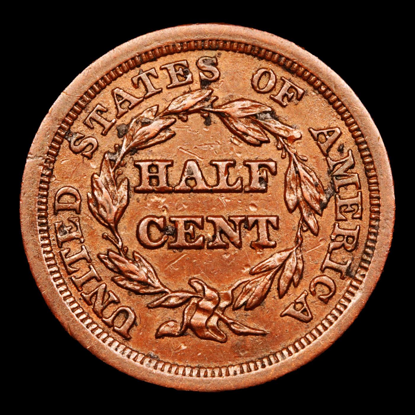 1854 Braided Hair Half Cent 1/2c Grades Choice AU/BU Slider