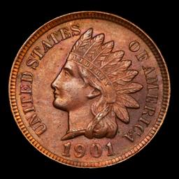 1901 Indian Cent 1c Grades Select Unc BN