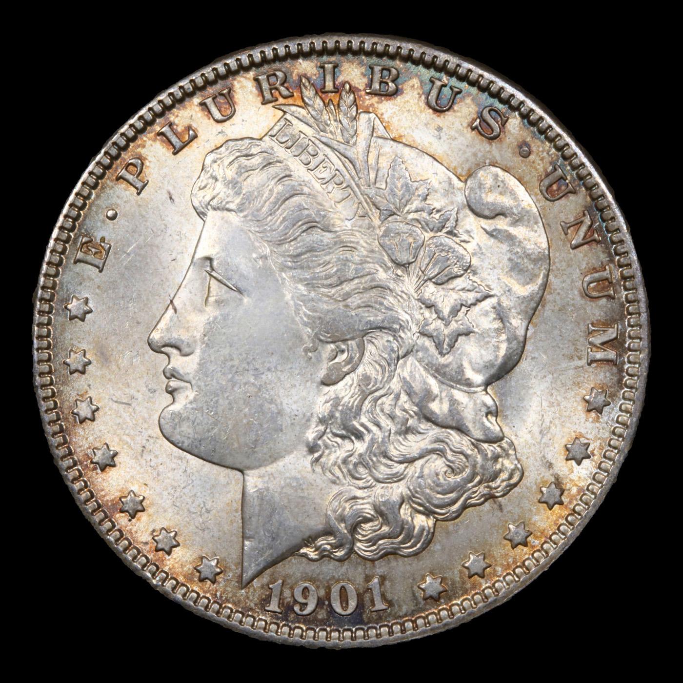 1901-o Morgan Dollar $1 Grades Choice Unc