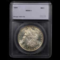 ***Auction Highlight*** 1891-p Morgan Dollar $1 Graded ms64+ By SEGS (fc)